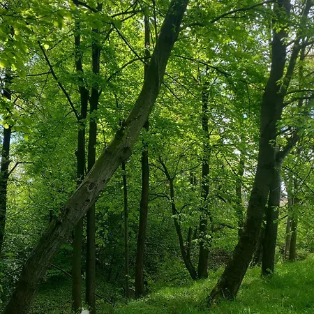 Apartament Lipnicki 2 Bielsko-Biała Zewnętrze zdjęcie